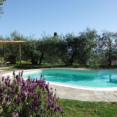 Agriturismo Il Castagnolino Villa San Gimignano Luaran gambar